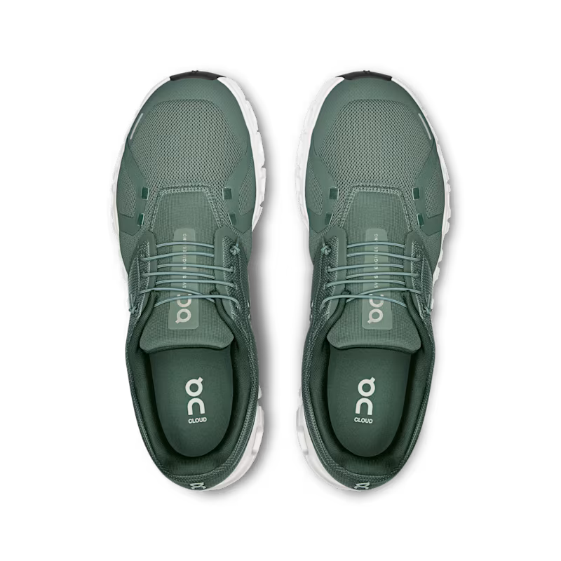Olive | Evergreen
