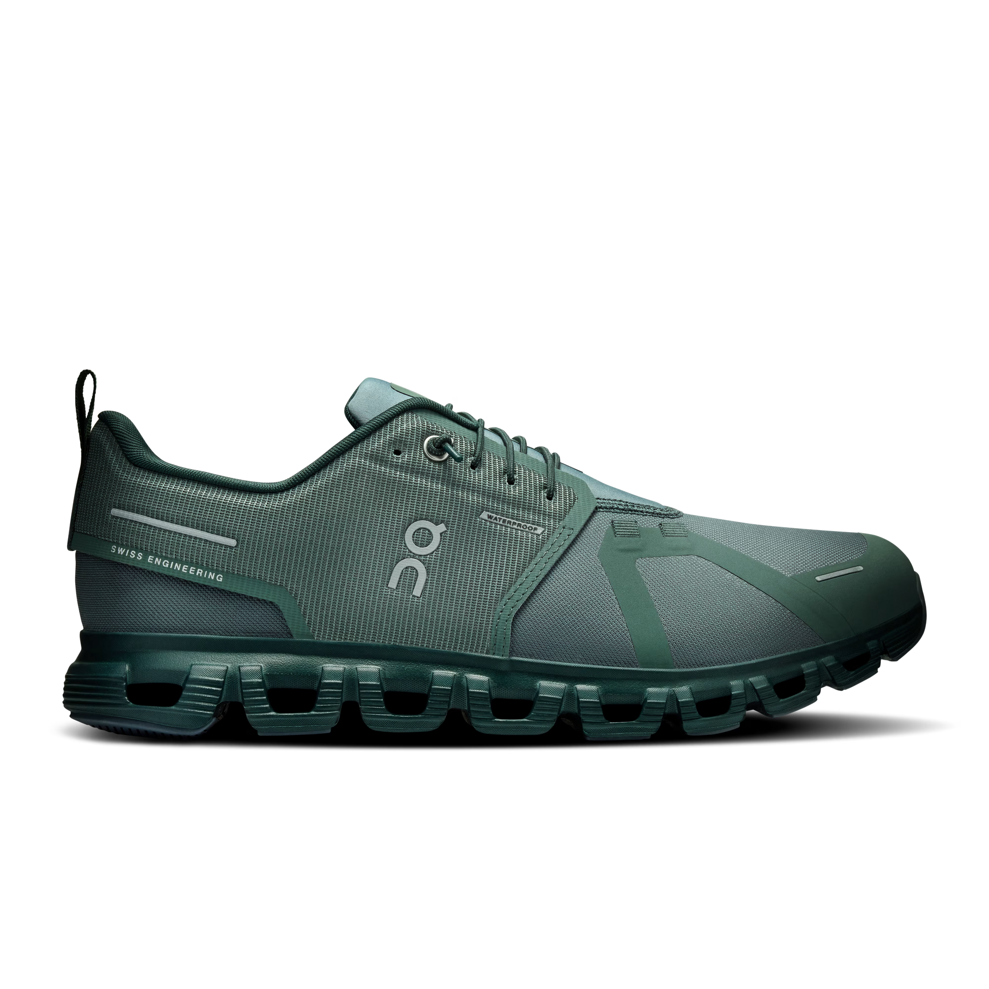 Olive | Evergreen
