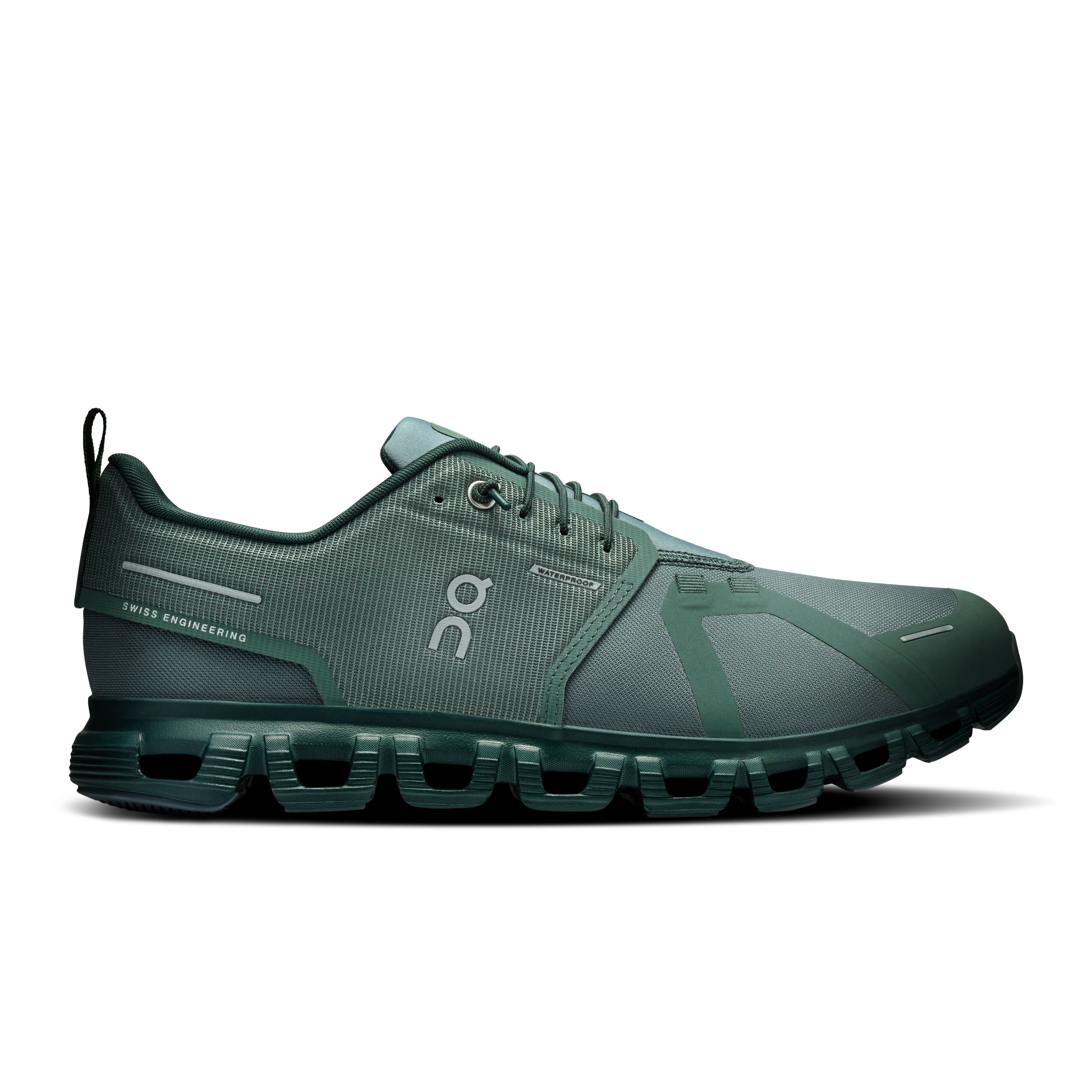 Olive | Evergreen