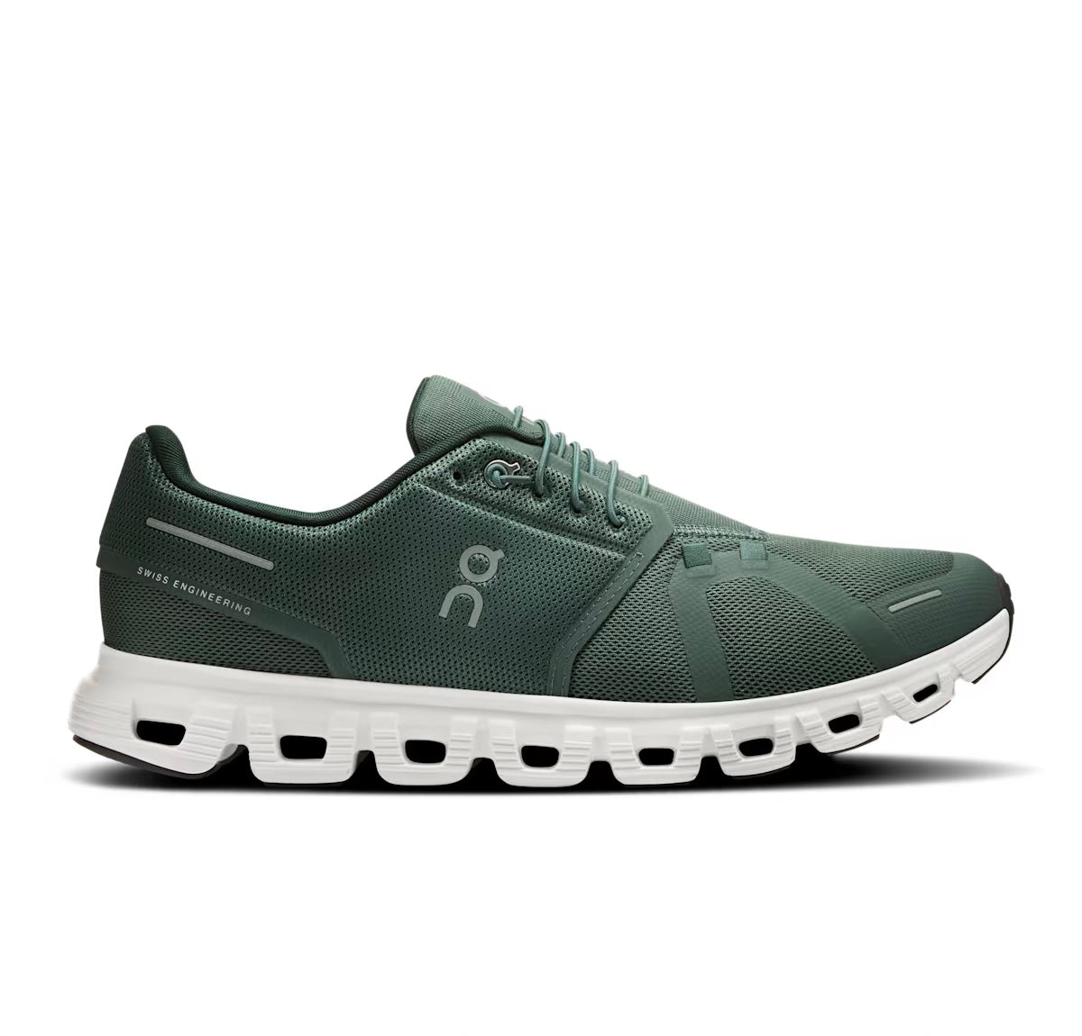 Olive | Evergreen
