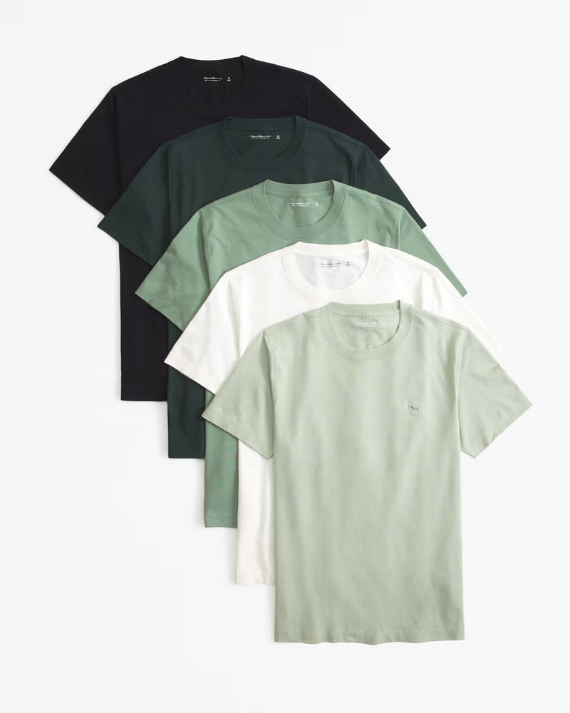 Abercrombie & Fitch 5-Pack Polished Tonal Icon Tees - IMMEDIATE