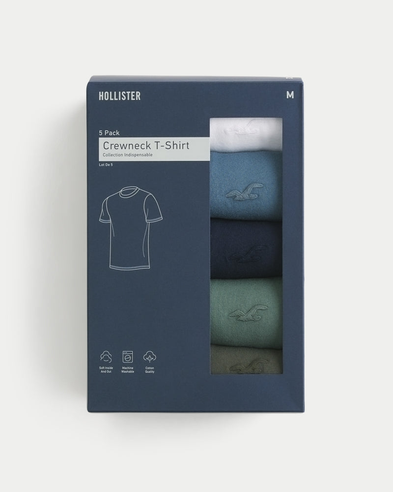 Hollister Icon Crew T-Shirt 5-Pack - IMMEDIATE