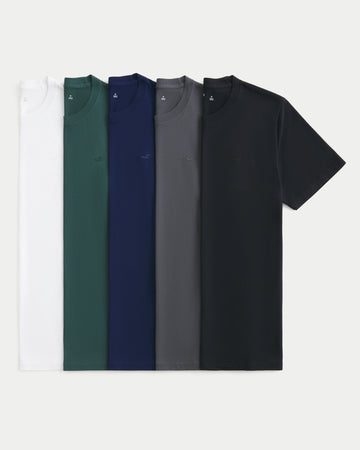 Hollister Icon Crew T-Shirt 5-Pack - IMMEDIATE