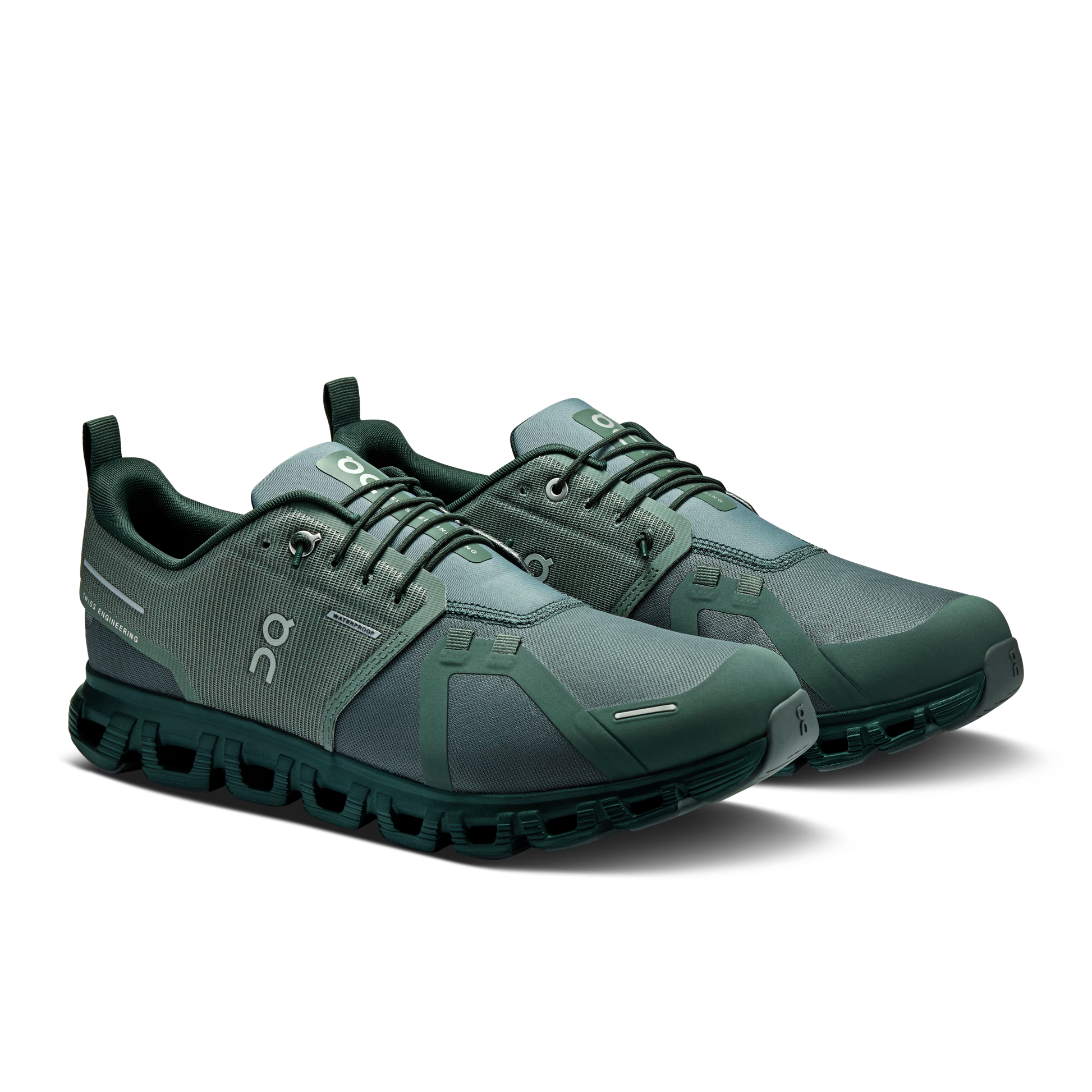 Olive | Evergreen