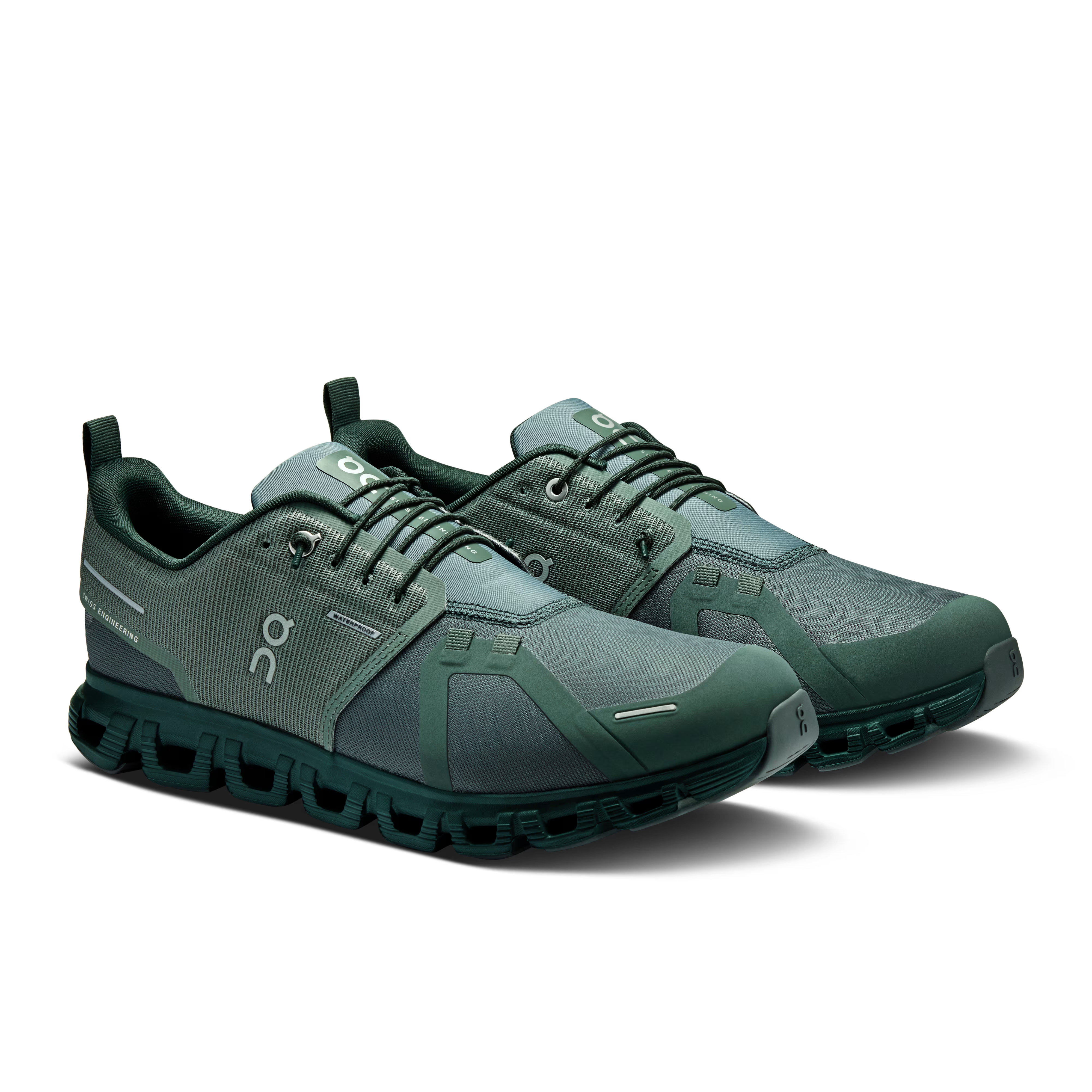 Olive | Evergreen