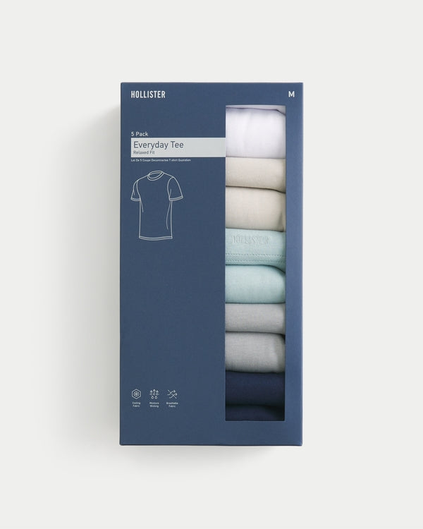 Hollister Everyday Tee 5-Pack