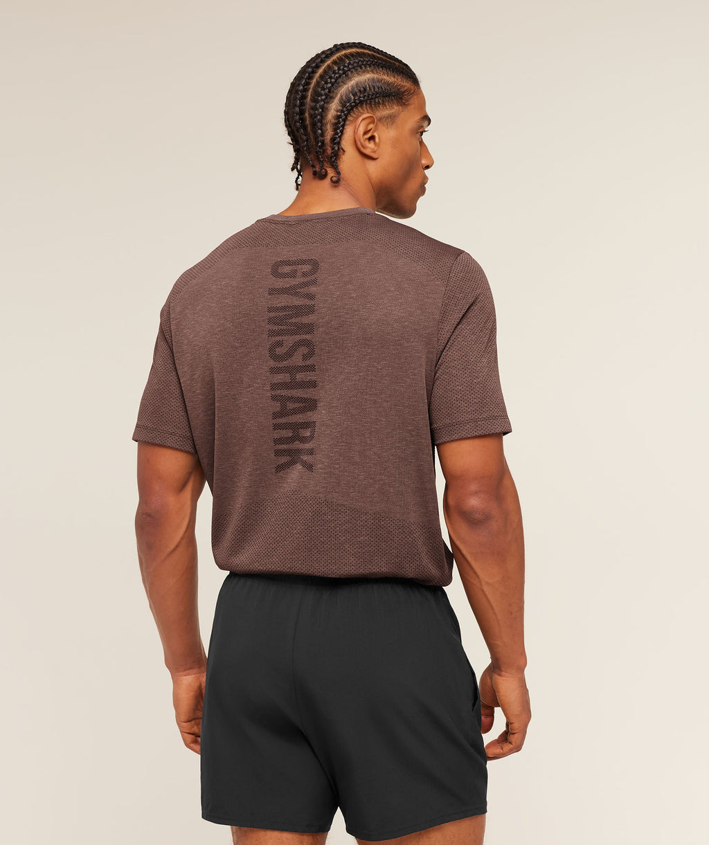 Gymshark Lightweight Seamless T-Shirt